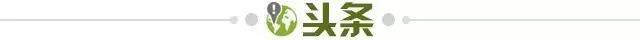 【早报】“布丁”四度连线，哈兰德五子登科
